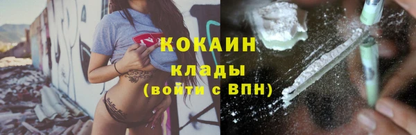 шишки Майский