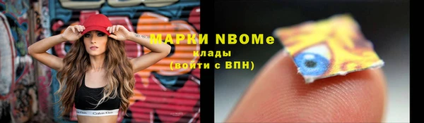 шишки Магадан