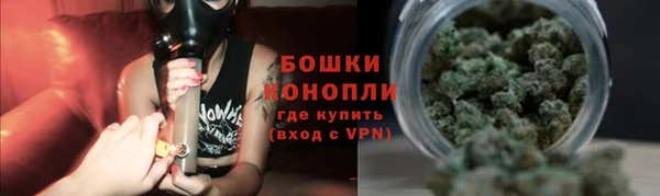 шишки Майский