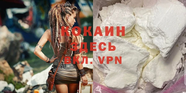шишки Майский