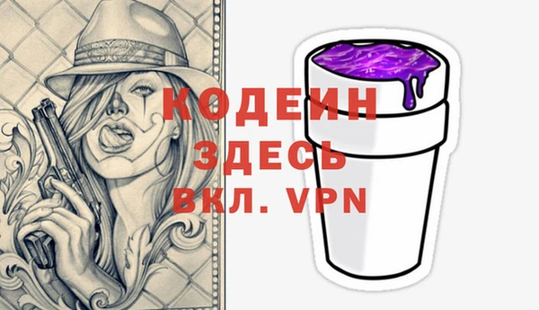шишки Майский