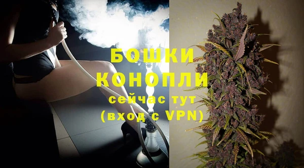 шишки Магадан