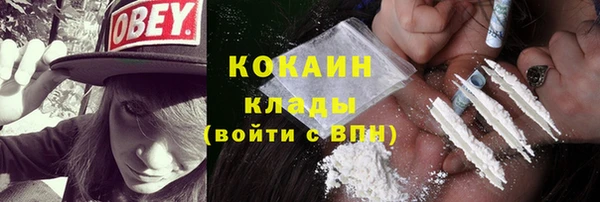 шишки Магадан