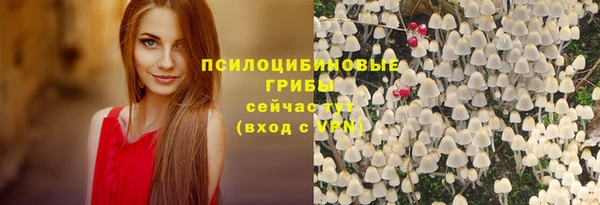 шишки Магадан