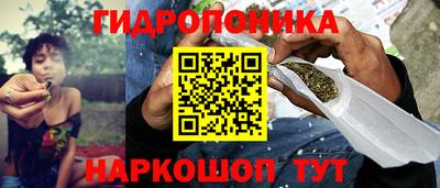 бошки Камышлов