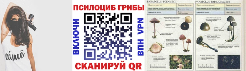 Галлюциногенные грибы Magic Shrooms  Медногорск 