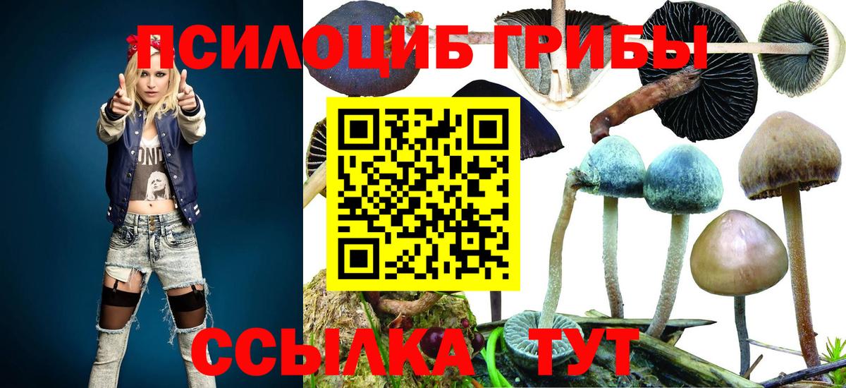 Медногорск  Галлюциногенные грибы мицелий  Псилоцибиновые грибы прущие грибы  Вход с VPN 