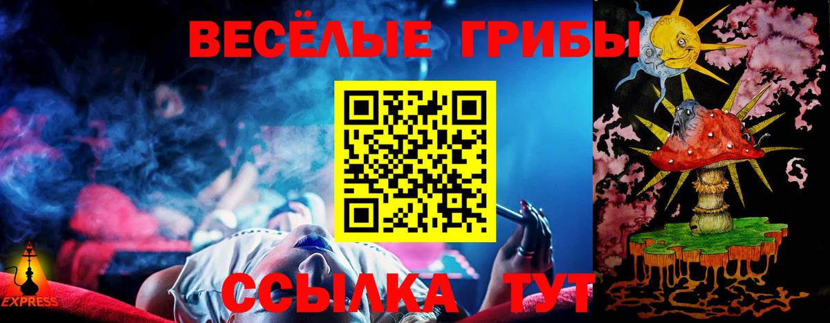 Галлюциногенные грибы ЛСД  где купить наркотик  Медногорск 